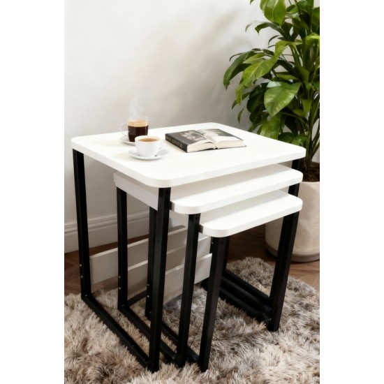 3 LÜ ZİGON SEHPA BEYAZ